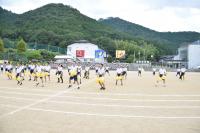 2025体育祭