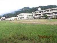 kusa