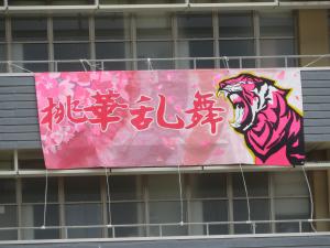 体育大会