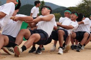 体育大会