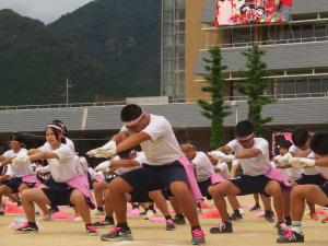 体育大会