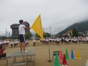 黄組エール