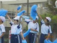 siro3