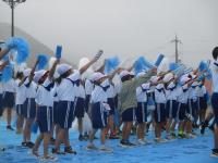 siro5