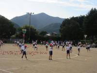 tamaire2