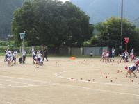 tamaire6