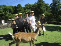 toudaiji1