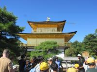 kinkaku1