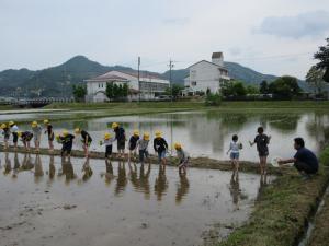 田植え１