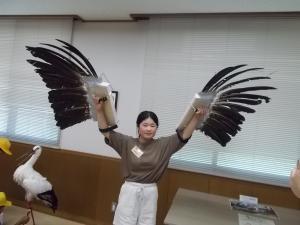 １