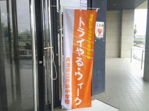 トライやる