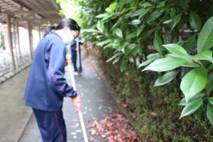 トライやる