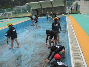 pool2