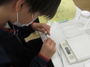 トライやる