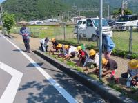 hanaue3