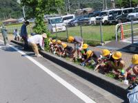 hanaue4