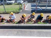 hanaue5