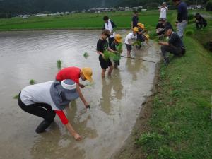 taue1