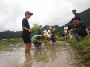 taue2