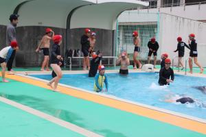 pool4