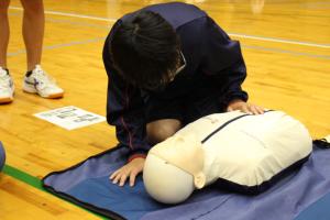 AED