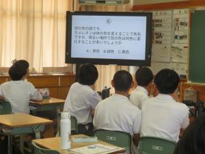 縦割りレク