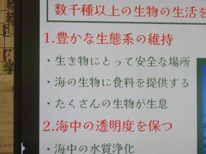 発表会