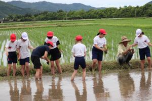 taue2