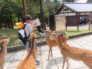 修学旅行４