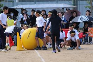 体育大会