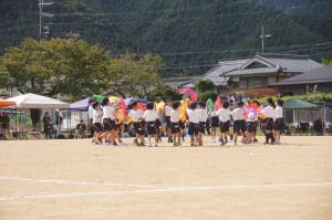 dansu1