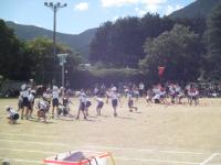 tamaire2