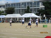 tamaire5