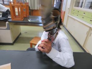 文化祭に向けて