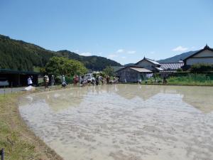 すこやか水田