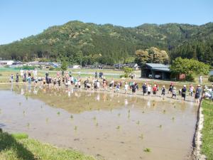 田植え