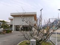 ume