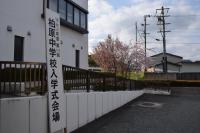 入学式1