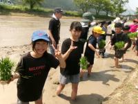 田植え5年生