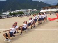 体育大会