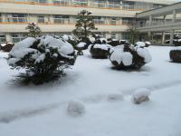 雪