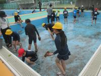 pool1