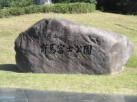 arima1