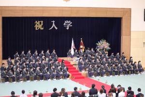 入学13