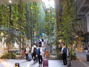 修学旅行41