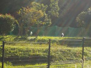 校外学習207