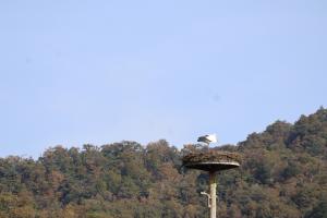 R71年校外学習10