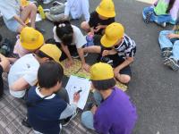 遠足4