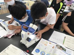 メダカの成長を観察しよう ５年生 丹波市立小中学校ポータルサイト