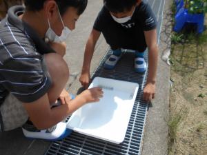 地面を流れる水のゆくえ 理科 4年 丹波市立小中学校ポータルサイト
